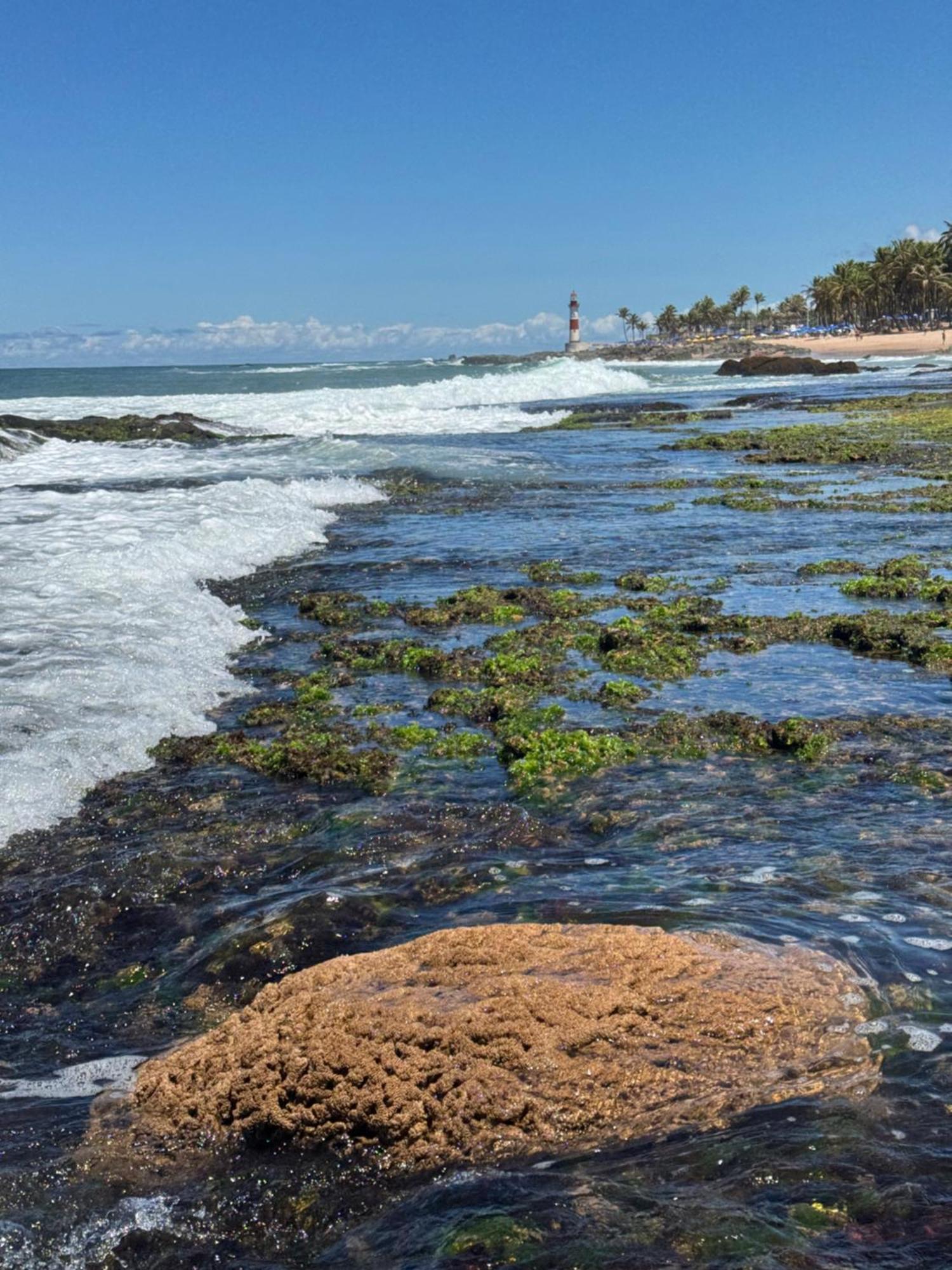 Samba Villa Da Praia Salvador Eksteriør bilde