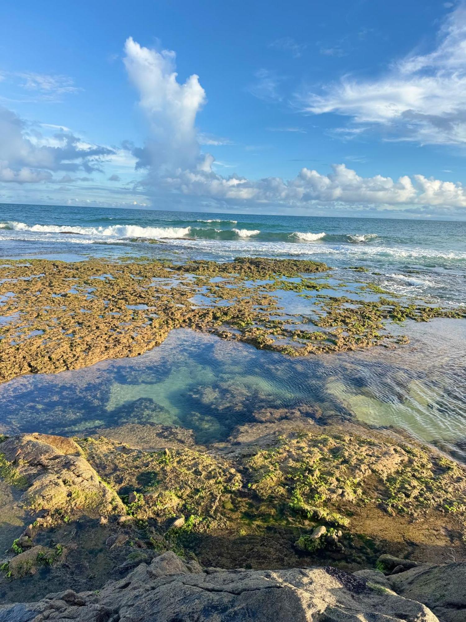 Samba Villa Da Praia Salvador Eksteriør bilde